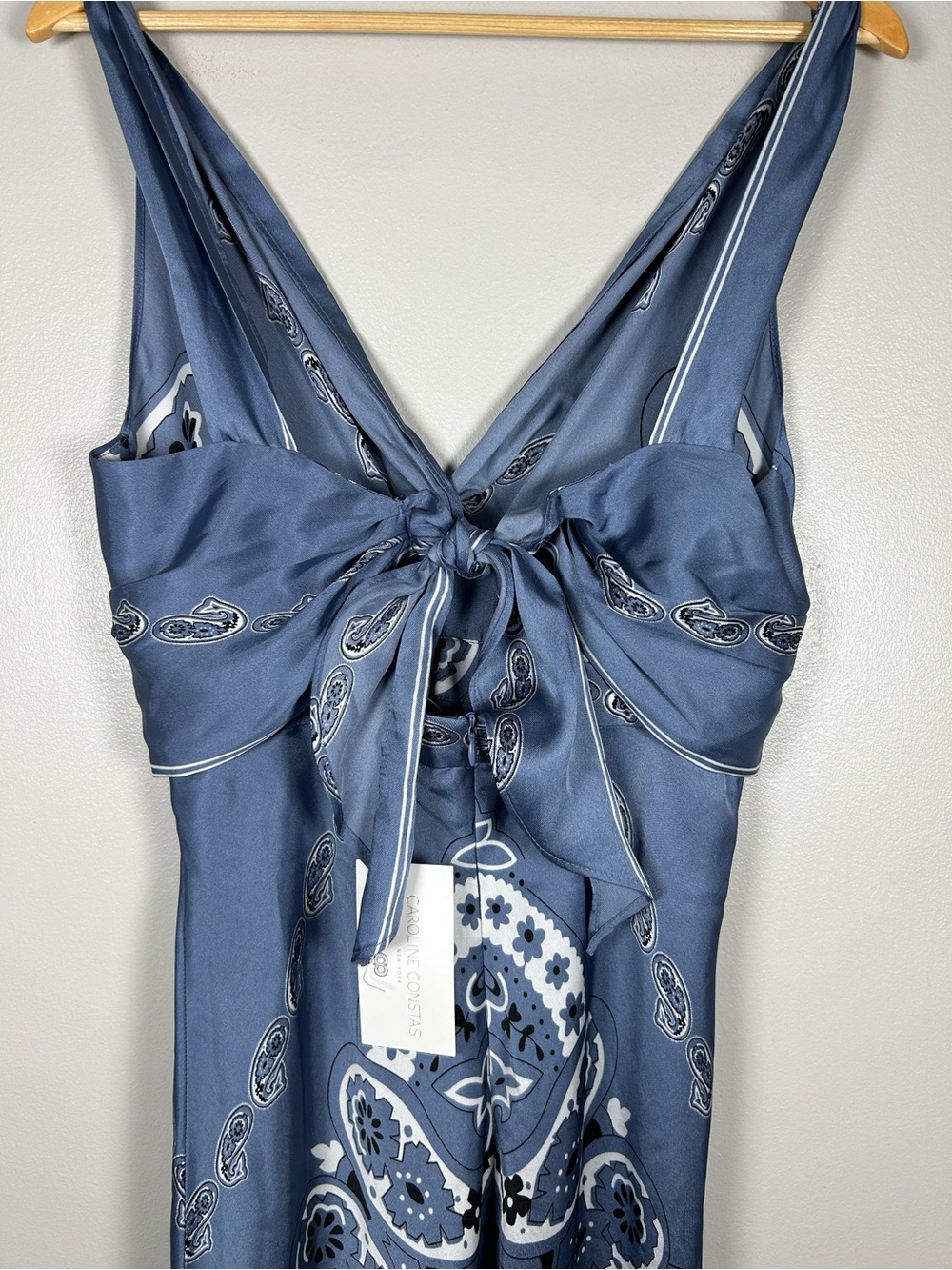 Caroline Constas Blue Paisley Floral Twist Front Maxi Dress - Picture 6 of 14